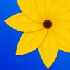 Gallery - Photo Gallery Vault icon