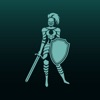 骑士贞妮 icon