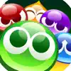 Puyo Puyo Puzzle Pop icon