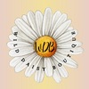 Wild Daisy Boutique icon