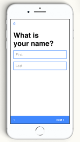 Form Builder Pro screenshot