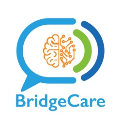 BridgeCare Connect