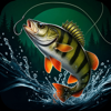 Kalaloki icon