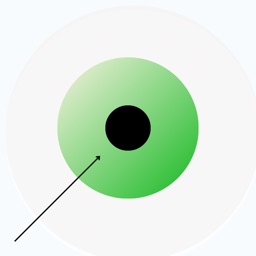 Green Zone: Fitness Tracker