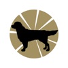 Goldpet icon