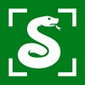 Get Snake Identifier: Serpiq for iOS, iPhone, iPad Aso Report