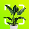 Plant Identifier: Snap scanner icon