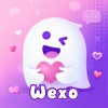 Wexo - Chat icon