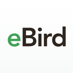 eBird на пк