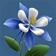 BloomEDU: Learn Plants app icon - Education app for iPhone