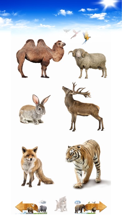 Amazing Animal Sounds Screenshot