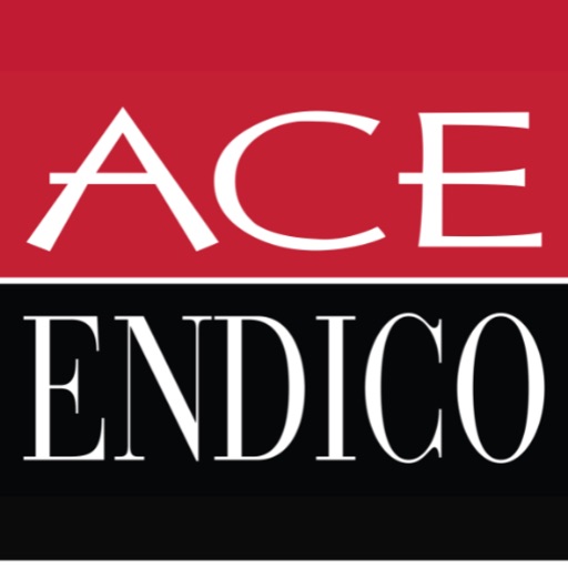 Ace Endico Food Show