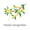 Flower - recognition icon