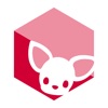 SmartDB icon