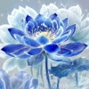 AI壁纸精选 icon