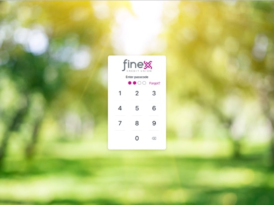 Finex Credit Union Mobile iPad screenshot 5 - Finance app