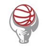 Basketbull Live icon