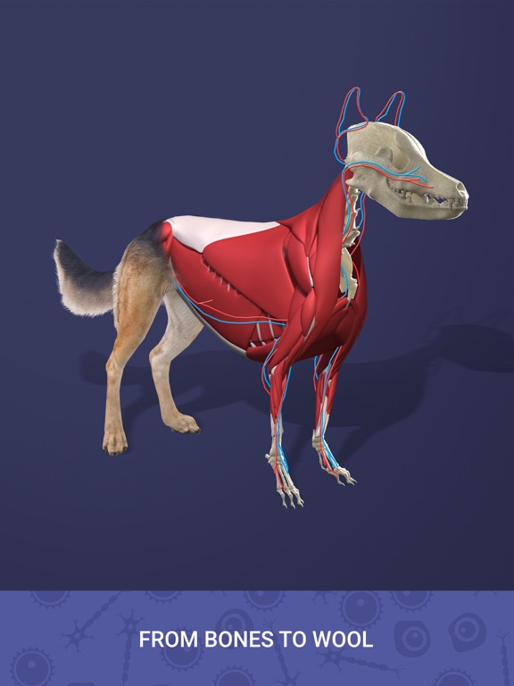 Idle Pet - Create cell by cell iPad screenshot 5 - Games app