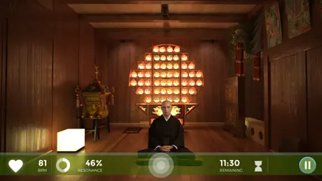 Zen Journey by Wild Divine