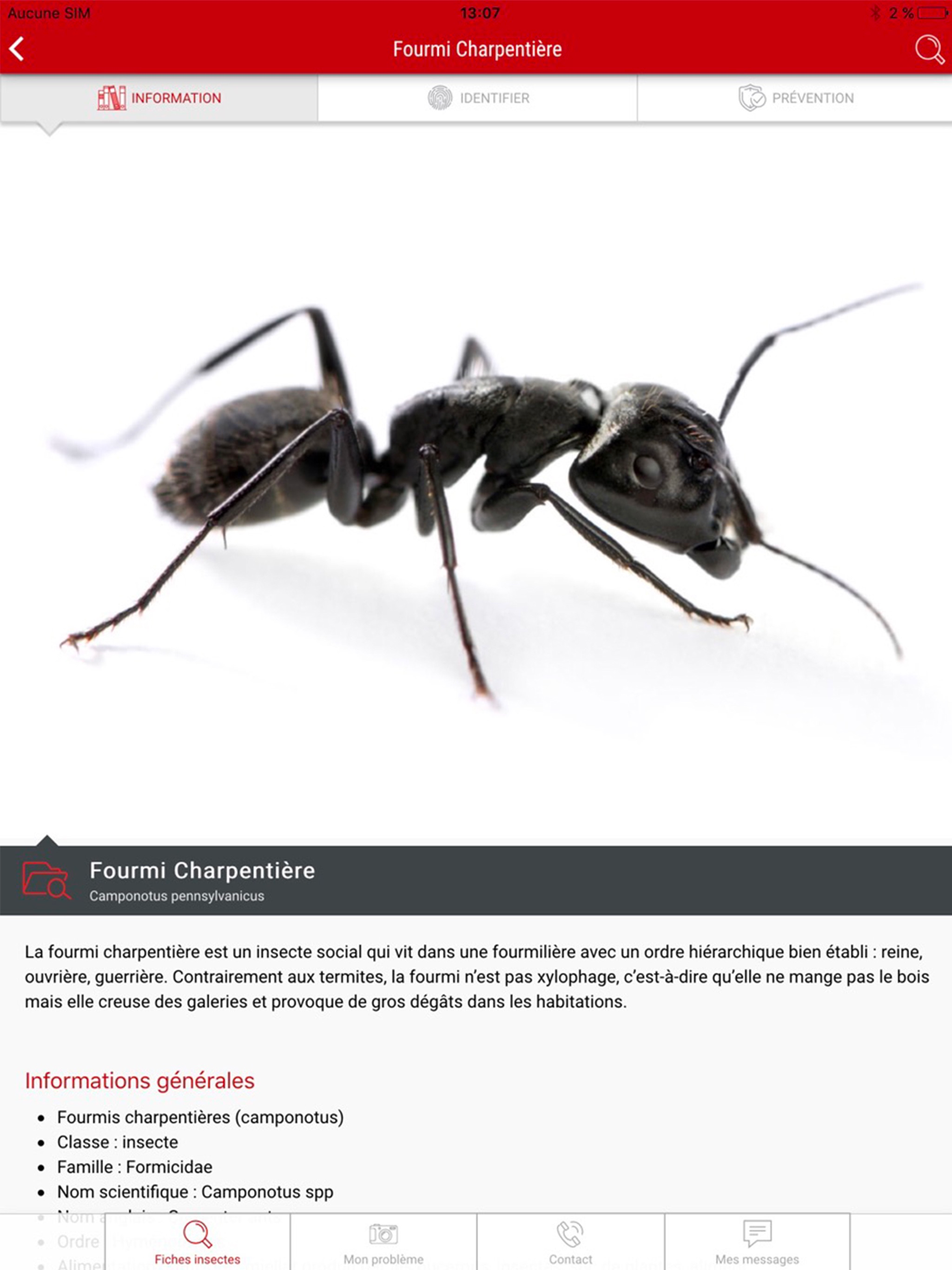 Abat Extermination