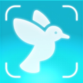 Bird Identifier AI: Birdie