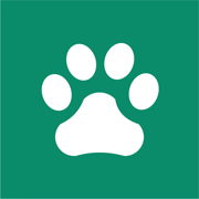 Dog walk, pet care