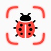 Bug Identifier: Bugiscent icon