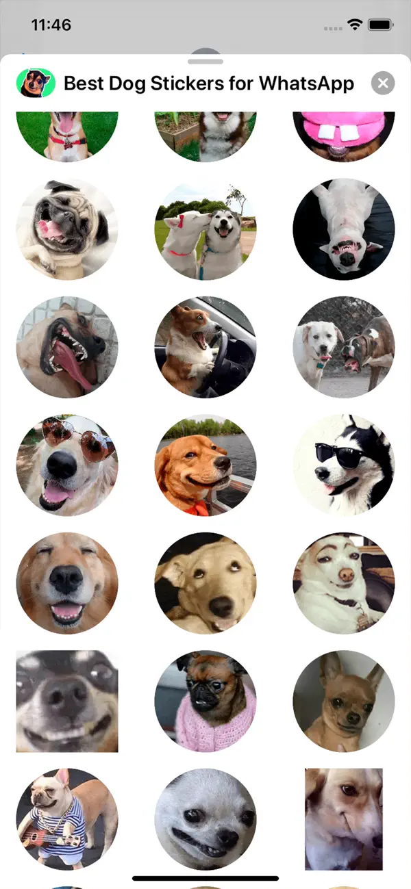 Screenshot #3 pour Best Dog Stickers for iMessage