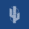 BlueKaktus BI icon