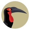 BirdPro icon