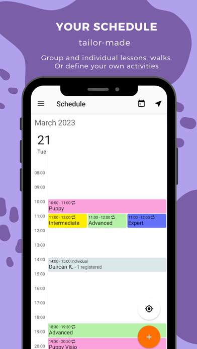 BaltoPro Screenshot