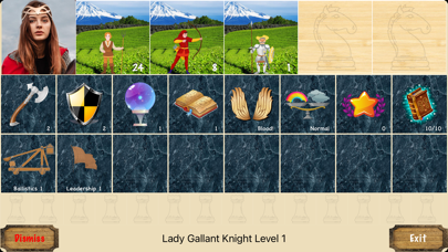 DDHeroes - Dragon Dungeon Hero Screenshot
