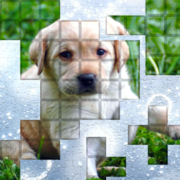 PicPu Dog Puzzle