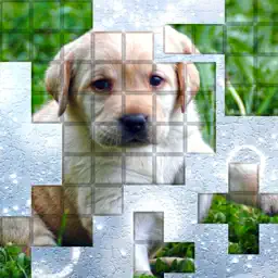PicPu Dog Puzzle app icon