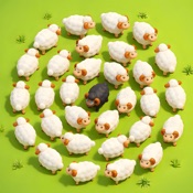 Sheep Dash-Farm Animal Escape