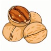 Walnut Fun Gameplay icon