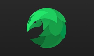 SafeShell VPN - Stream Freedom