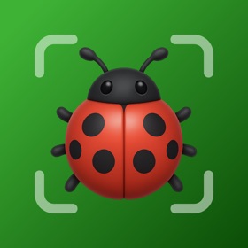 Insect Bug Identifier : Buzzy