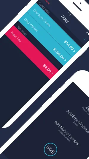 owed screenshot 2