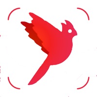 Bird Scanner logo