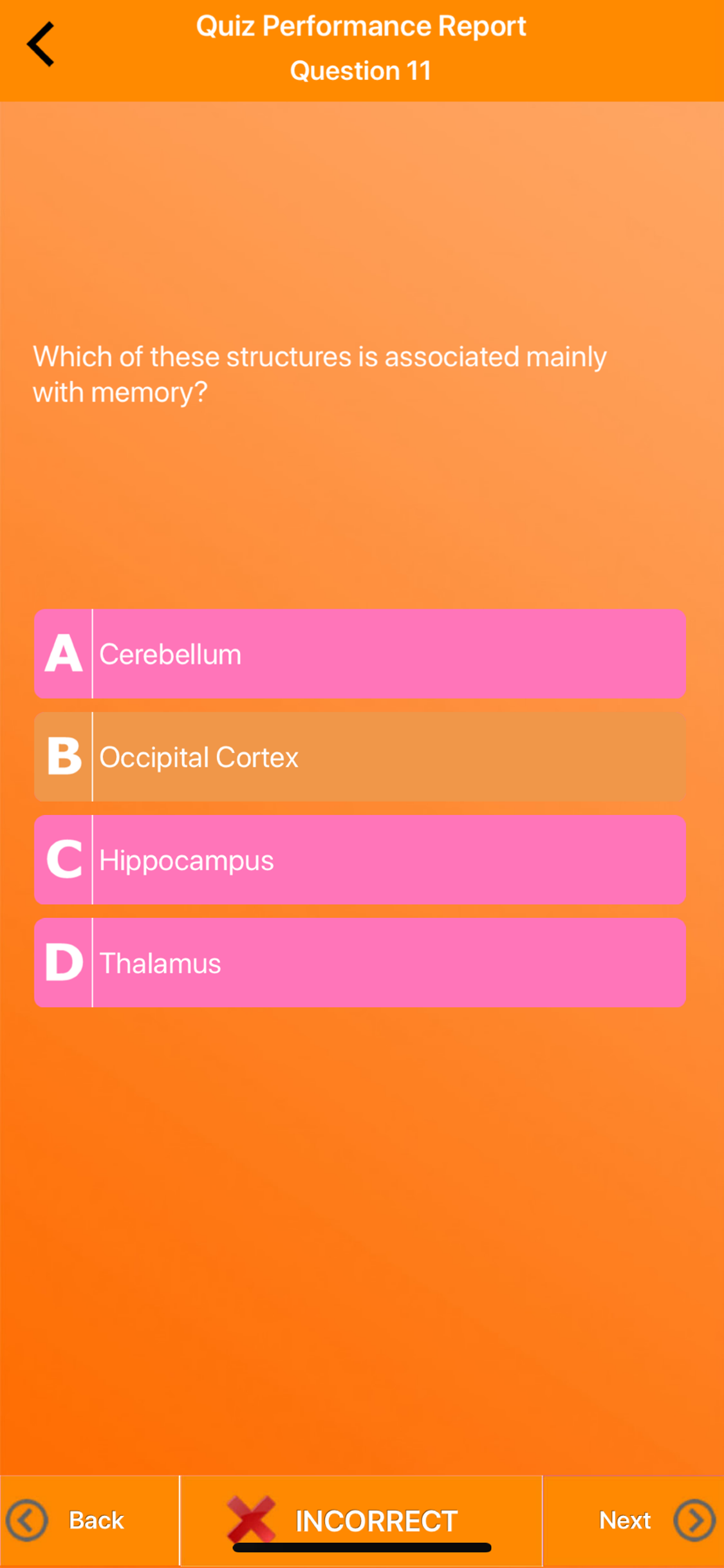 Human Anatomy Quizzes screenshot 6
