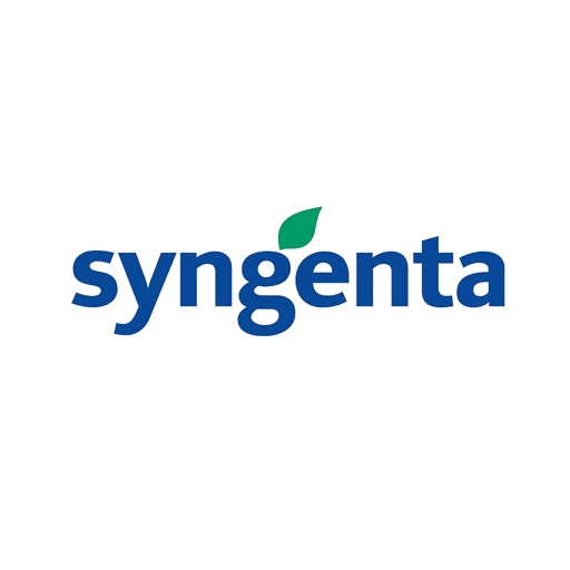 Сингента Україна