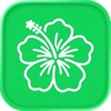 Flower Identifier App icon