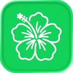 Flower Identifier App