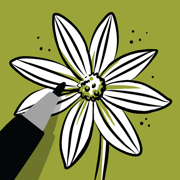 Learn How to Draw Tutorials