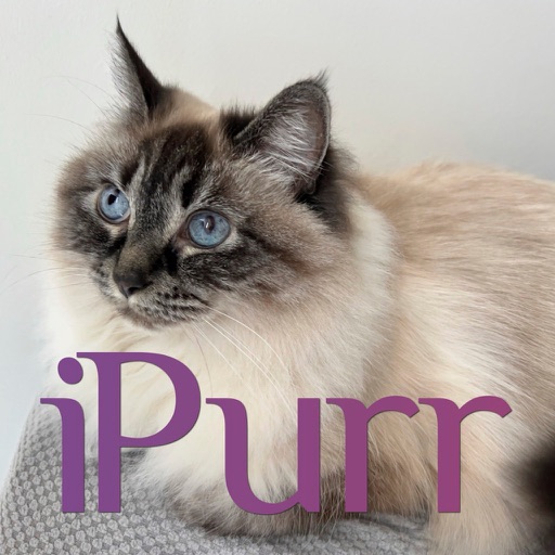 iPurr app icon
