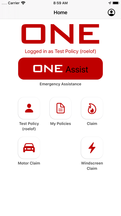 1Web Systems iPhone screenshot