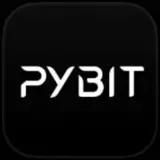 PyBIT - Icona app