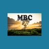 Mineral Baptist icon