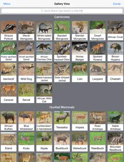 Animals of Kruger iPad image 4